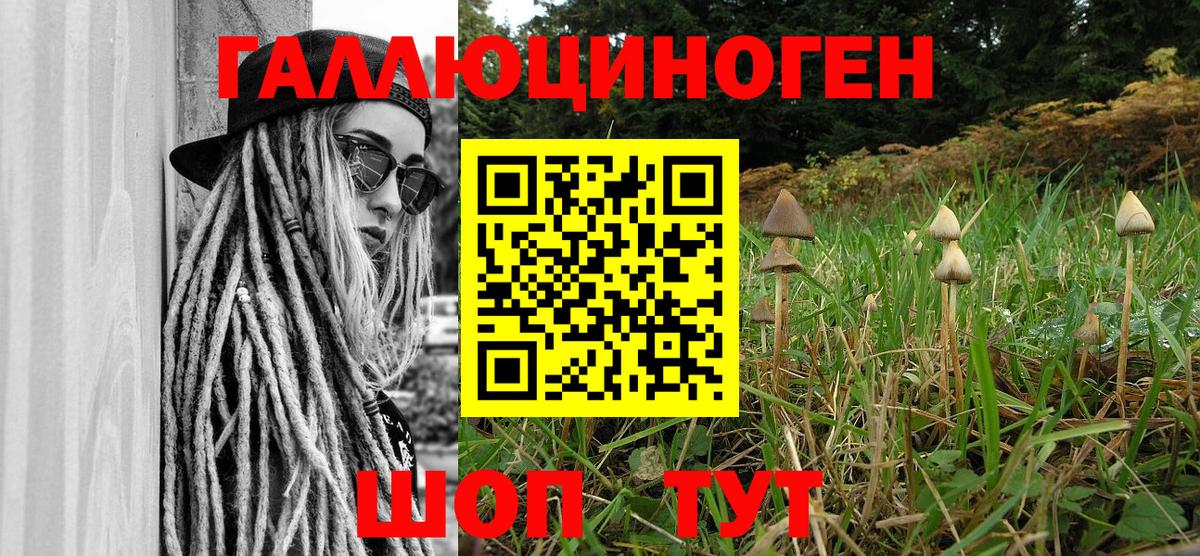 Галлюциногенные грибы Psilocybine cubensis  Вход с VPN  сколько стоит  Псилоцибиновые грибы прущие грибы  Черкесск 